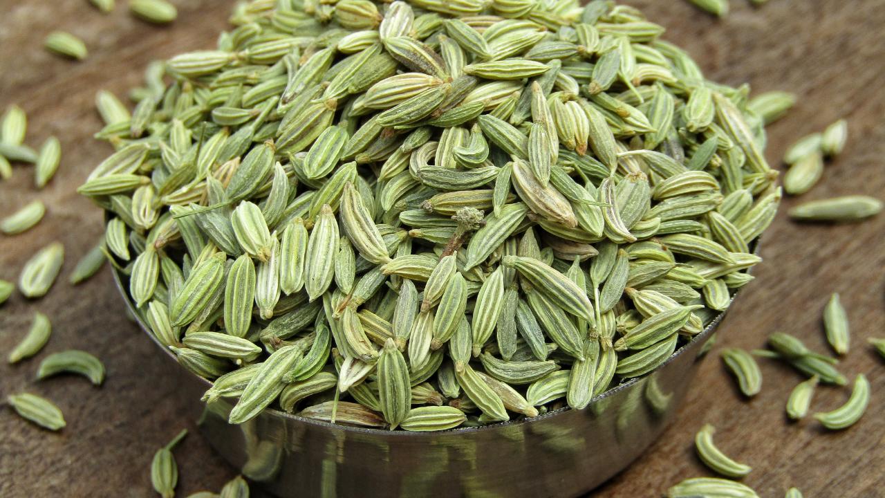 Fennel Seeds